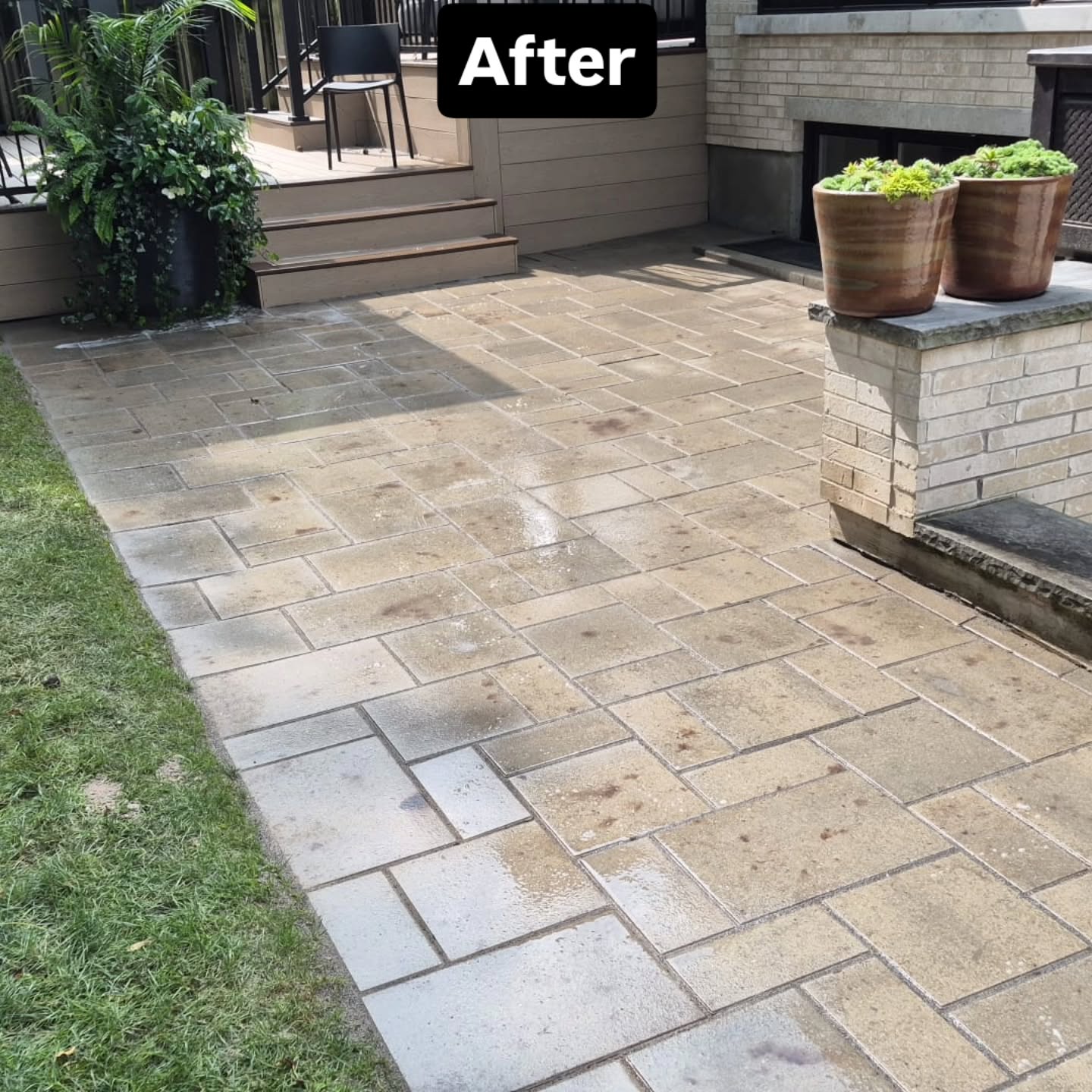 The finished patio after the relay, with the pavers reset level and joints re-sanded