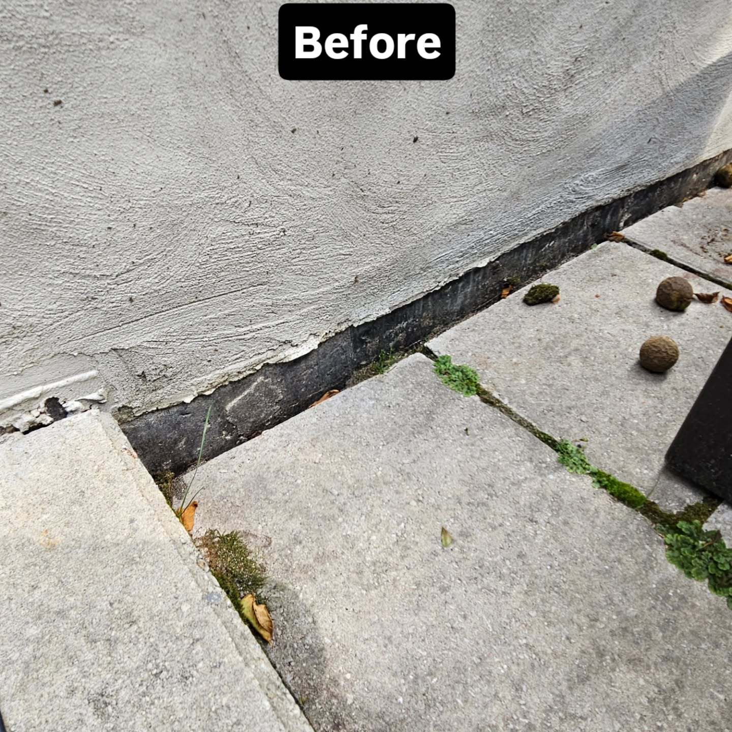Close-up before the relay showing weeds and moss growing between settled slabs along the wall edge