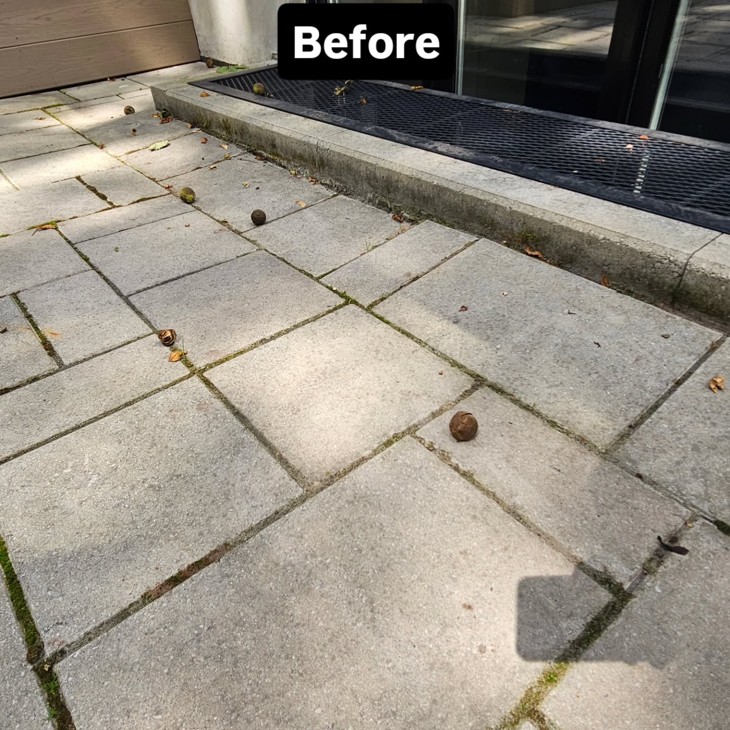 The patio before the relay, with wide, moss-filled joints and uneven paving slabs beside the window well